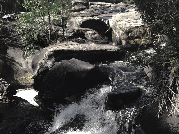 deschutes river trail