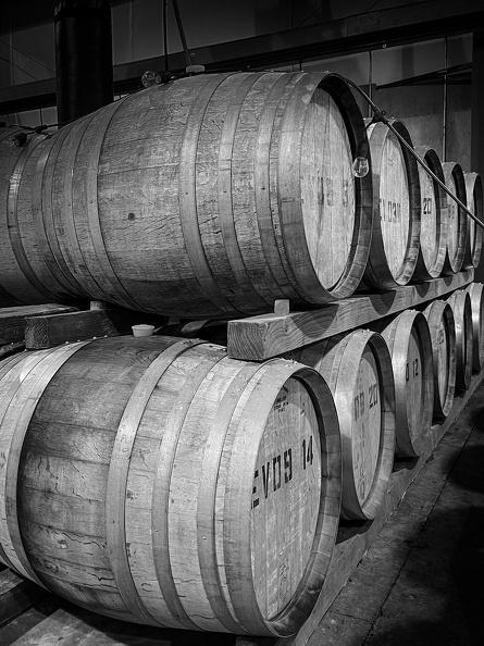 wine-barrels_52121733408_o.jpg