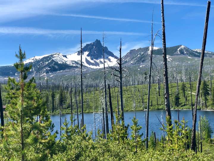 three fingered jack